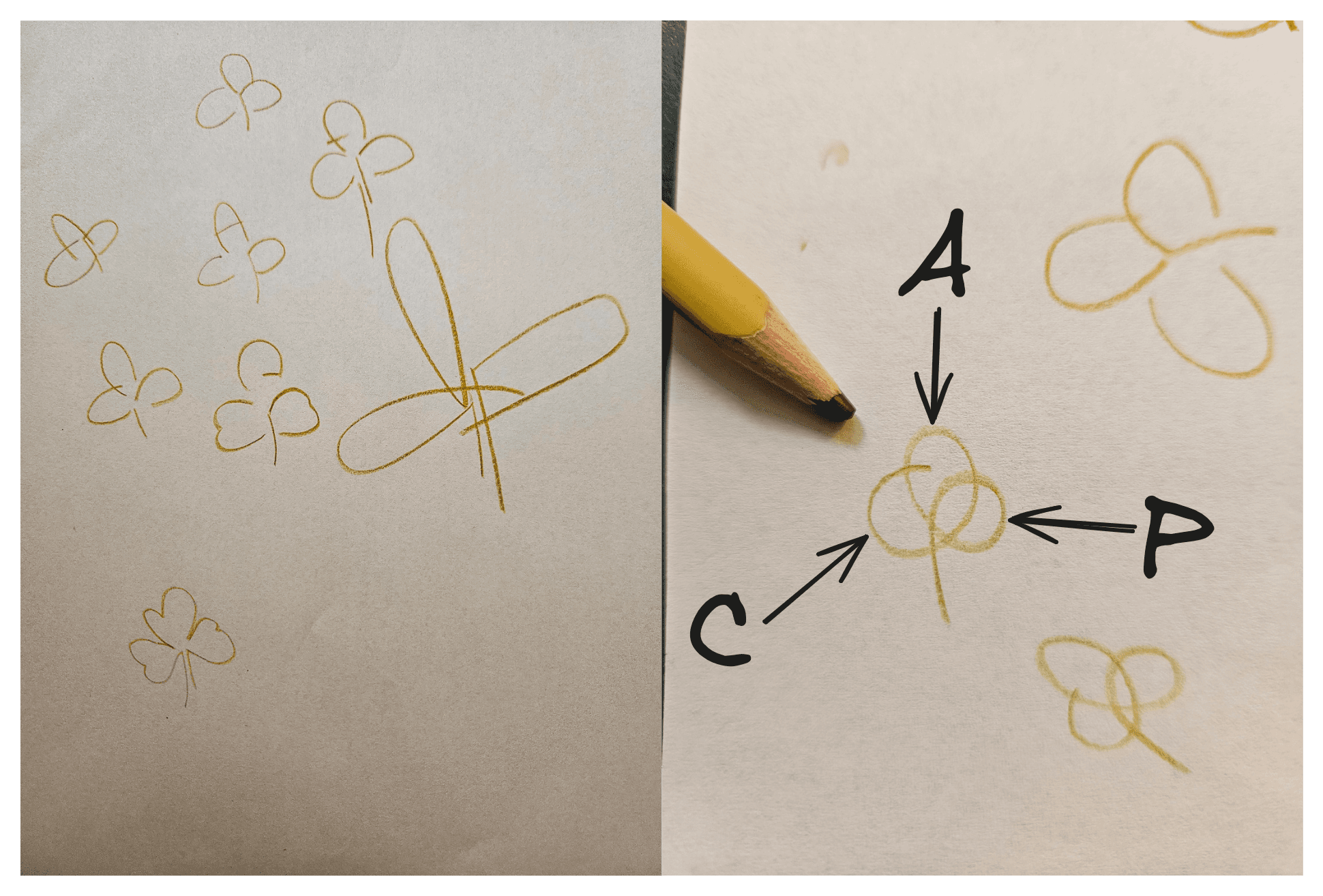 Kombi Rocks Car Rental Section